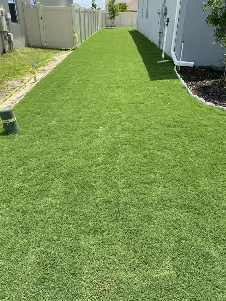 Orlando Sod Installation Contractor | Clermont Sod Renovation Contractor | Winter Garden Sod Rehab Contractor | Windermere Sod Installation Contractor | Groveland Sod Rehab Contractor | Groveland Sod Renovation Contractor | Precision Environmental | PrecisionEnviro.biz