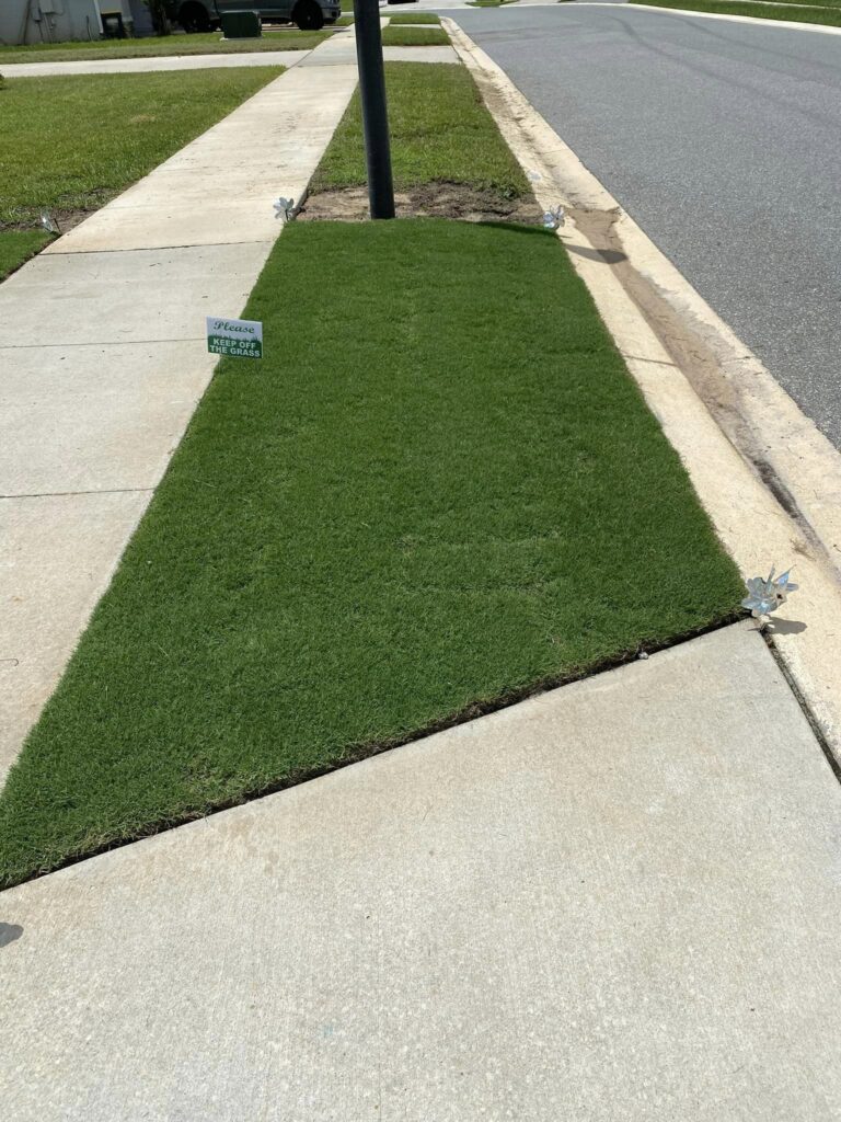 Orlando Sod Installation Contractor | Clermont Sod Renovation Contractor | Winter Garden Sod Rehab Contractor | Windermere Sod Installation Contractor | Groveland Sod Rehab Contractor | Groveland Sod Renovation Contractor | Precision Environmental | PrecisionEnviro.biz