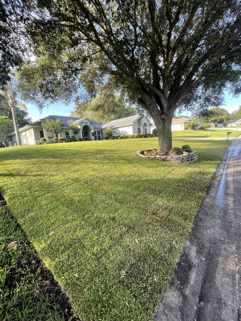 Orlando Sod Installation Contractor | Clermont Sod Renovation Contractor | Winter Garden Sod Rehab Contractor | Windermere Sod Installation Contractor | Groveland Sod Rehab Contractor | Groveland Sod Renovation Contractor | Precision Environmental | PrecisionEnviro.biz