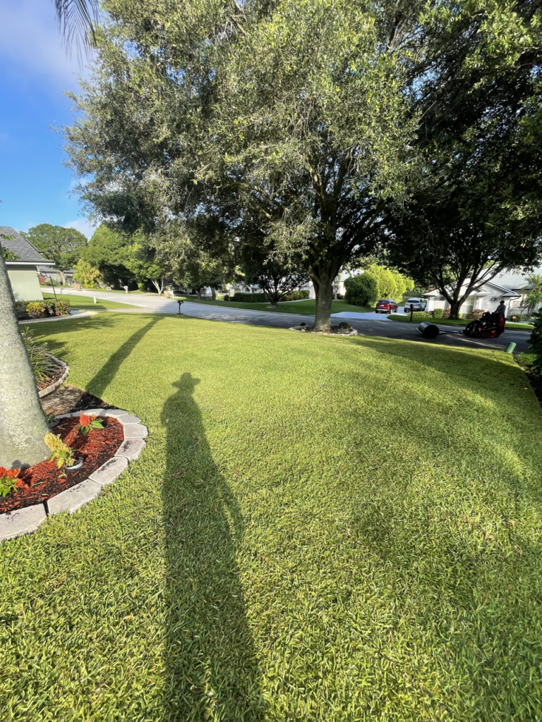 Orlando Sod Installation Contractor | Clermont Sod Renovation Contractor | Winter Garden Sod Rehab Contractor | Windermere Sod Installation Contractor | Groveland Sod Rehab Contractor | Groveland Sod Renovation Contractor | Precision Environmental | PrecisionEnviro.biz