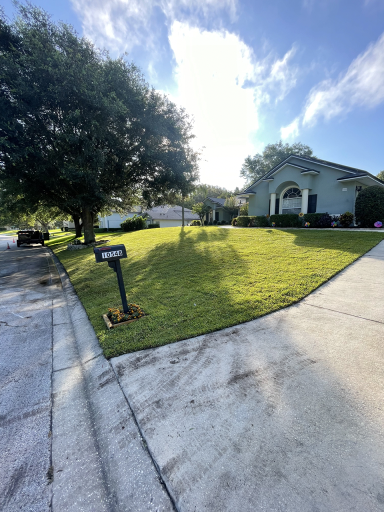 Orlando Sod Installation Contractor | Clermont Sod Renovation Contractor | Winter Garden Sod Rehab Contractor | Windermere Sod Installation Contractor | Groveland Sod Rehab Contractor | Groveland Sod Renovation Contractor | Precision Environmental | PrecisionEnviro.biz