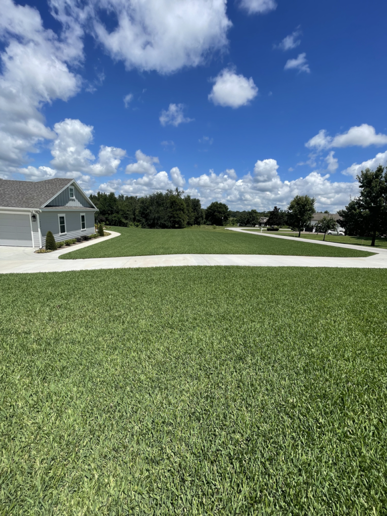 Orlando Sod Installation Contractor | Clermont Sod Renovation Contractor | Winter Garden Sod Rehab Contractor | Windermere Sod Installation Contractor | Groveland Sod Rehab Contractor | Groveland Sod Renovation Contractor | Precision Environmental | PrecisionEnviro.biz