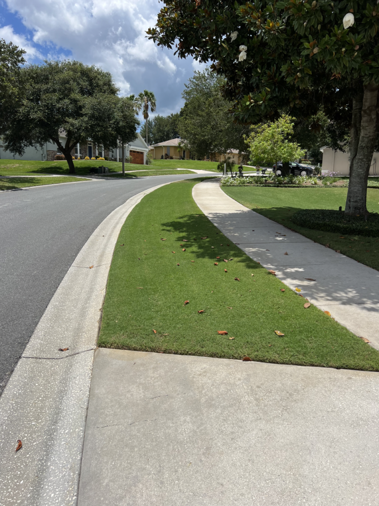 Orlando Sod Installation Contractor | Clermont Sod Renovation Contractor | Winter Garden Sod Rehab Contractor | Windermere Sod Installation Contractor | Groveland Sod Rehab Contractor | Groveland Sod Renovation Contractor | Precision Environmental | PrecisionEnviro.biz