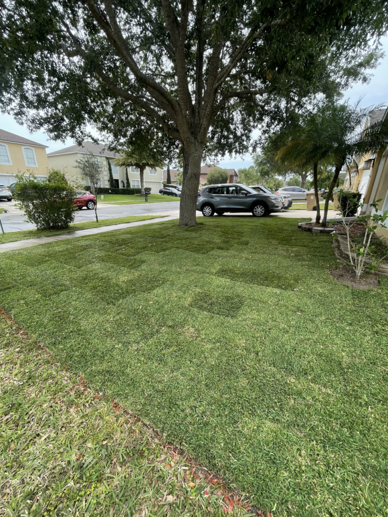 Orlando Sod Installation Contractor | Clermont Sod Renovation Contractor | Winter Garden Sod Rehab Contractor | Windermere Sod Installation Contractor | Groveland Sod Rehab Contractor | Groveland Sod Renovation Contractor | Precision Environmental | PrecisionEnviro.biz